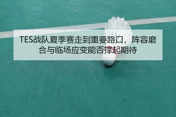 TES战队夏季赛走到重要路口，阵容磨合与临场应变能否撑起期待